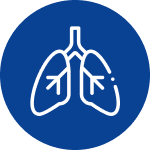 Respiratory Icon
