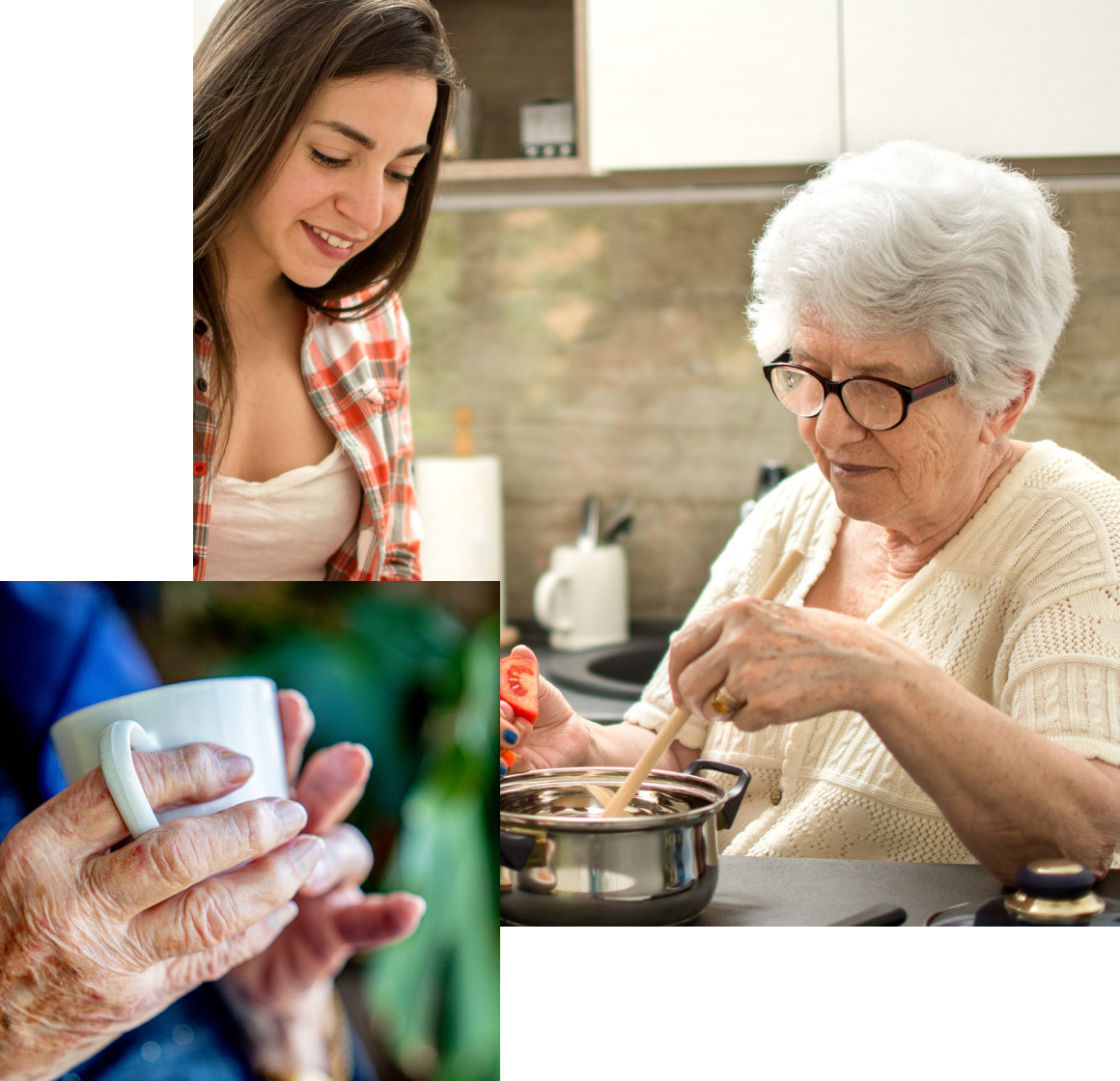 Women-Cooking-Together Women Cooking Together