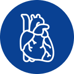 Cardiac Icon