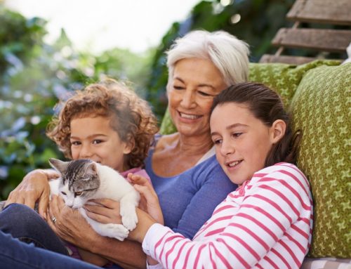 Grandparents Raising Grandchildren
