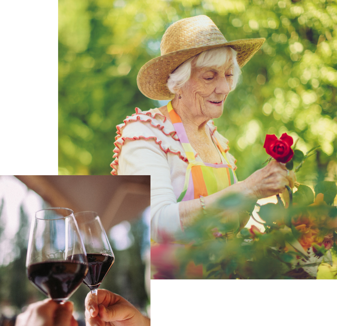 woman-in-garden-wine-glass Woman in Garde and Wine Glasses